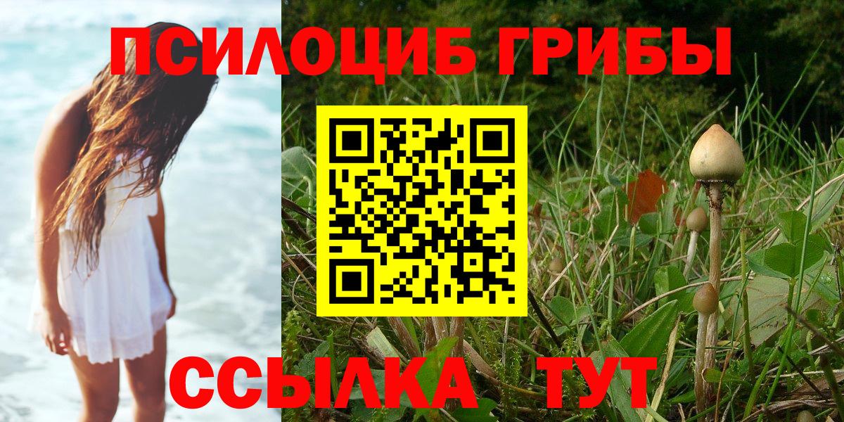 Псилоцибиновые грибы ЛСД Темрюк