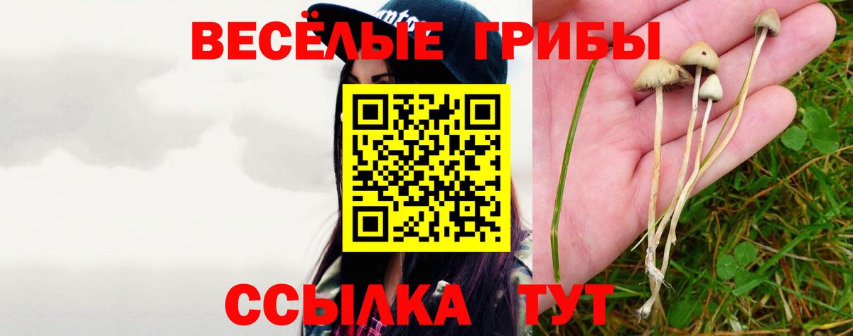 Псилоцибиновые грибы Cubensis  Вход с VPN  Темрюк 